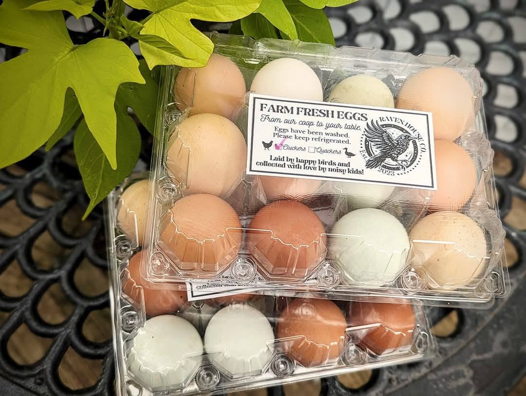 Farm fresh eggs in carton