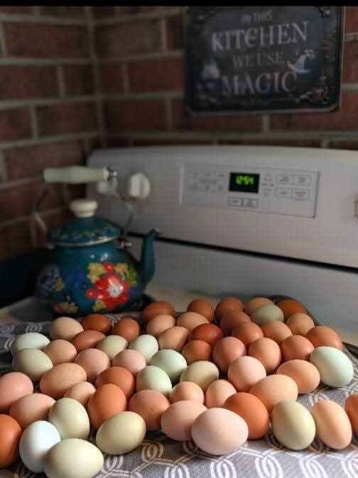 Farm fresh eggs on the stove