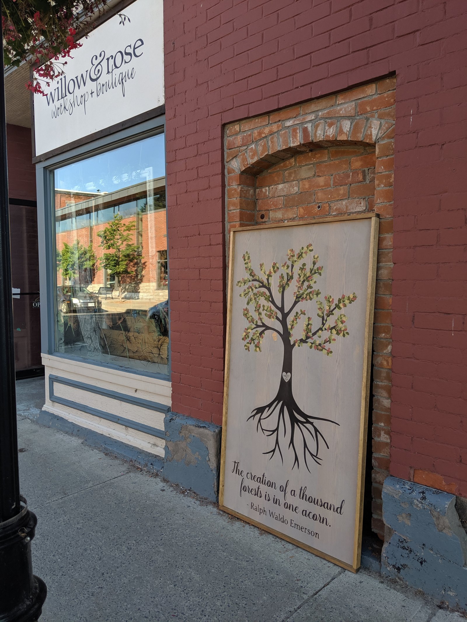 The Willow & Rose storefront — sign above a large clean window reflecting the street